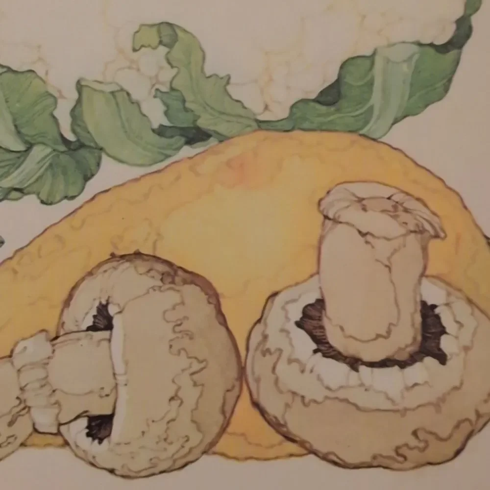 Vintage MCM Vegetable‎ Lk Powell Art Paper Stationary Lot Fold A Note